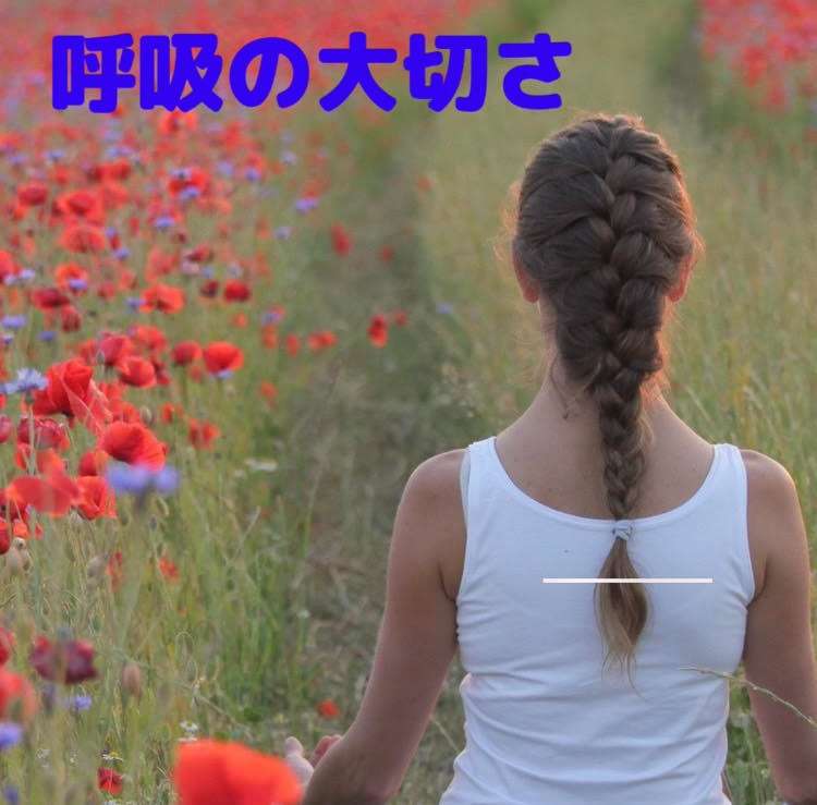 ヨガ　呼吸の大切さ