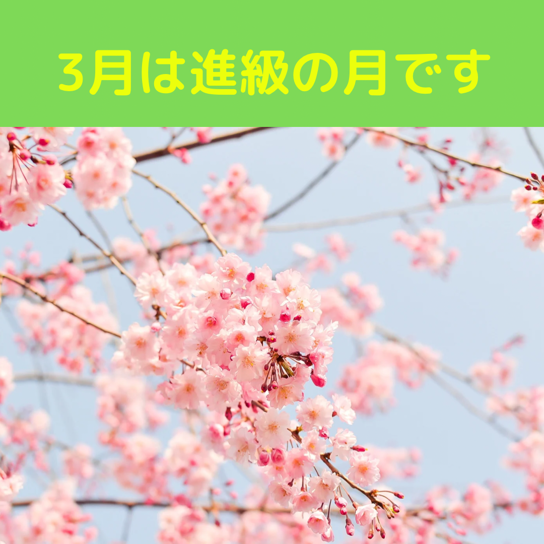 ３月は進級の月です　part2